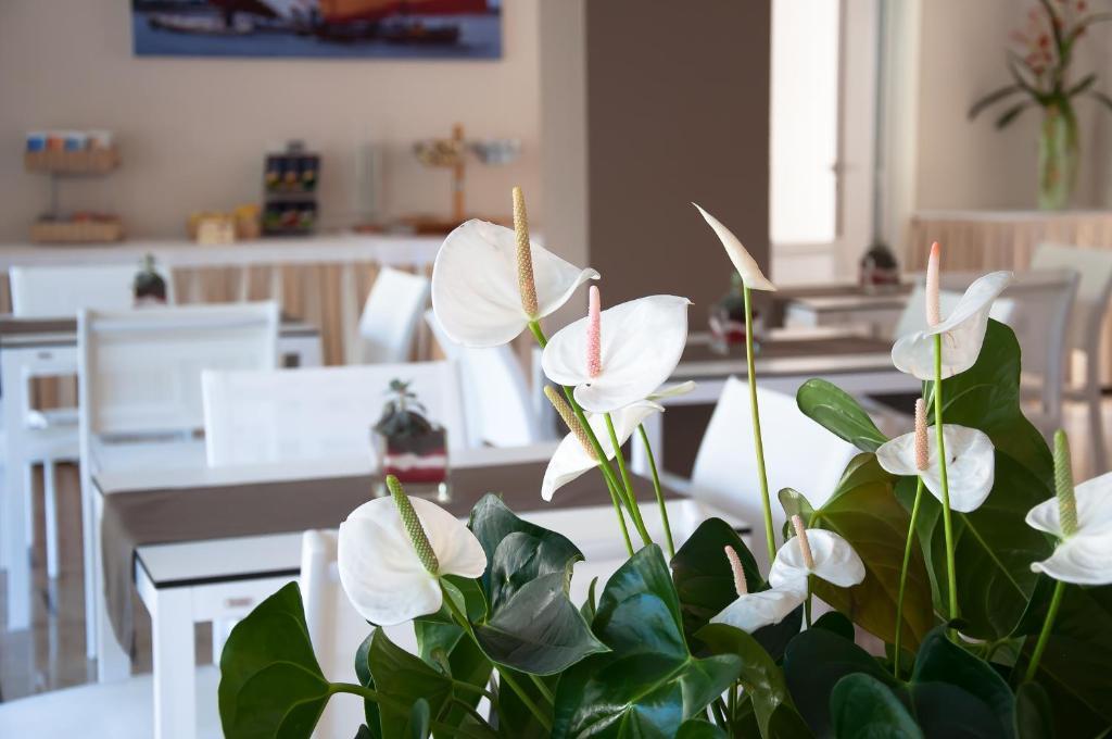 Hotel Park Spiaggia Grado Ngoại thất bức ảnh